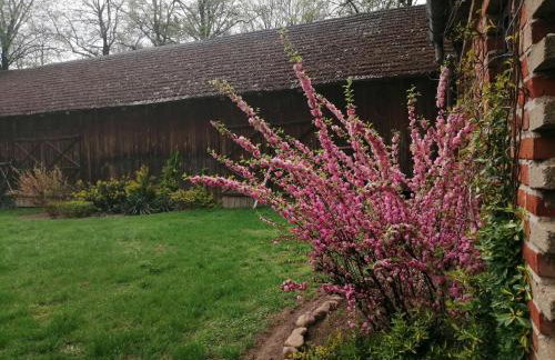 Domek na wsi Wiejsko Czarodziejsko - Agroturystyka Podlasie - Foto 80