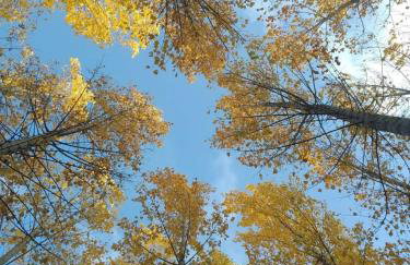 Casa Rural Las Nogueras - Foto 35