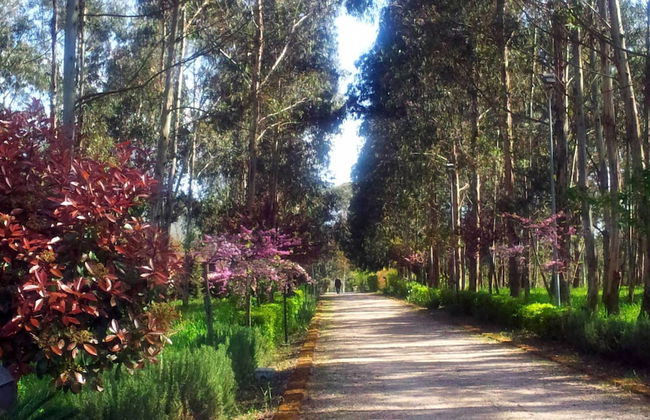 Il Nibbio Reale Country House - Foto 22