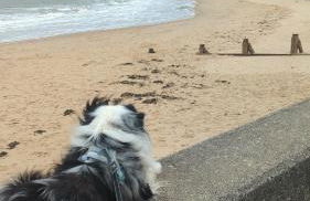 Beach Walk Cottage - Foto 11