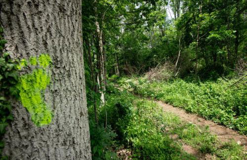 Evergreen house Plitvice - Foto 38