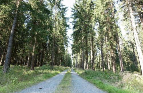 Ferienhaus mit Schwimmbad in Jagersgrun - Foto 71