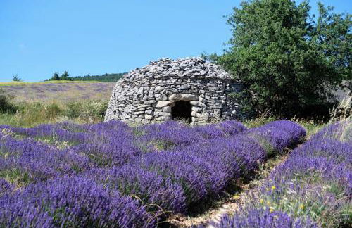 La Terrasse d'Oléa, au coeur du village - Foto 40