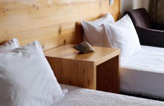 Casas Goulart - Photo 27