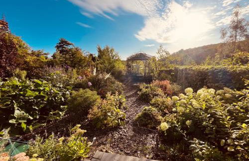 Waldhaus Harz, Natur pur mit Pool, Sauna und traumhaften Garten - Foto 8