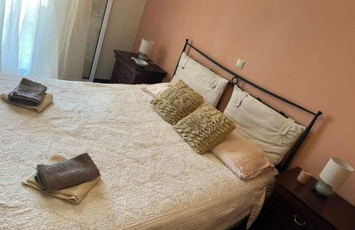 Fox's Sunshine - Foto 19