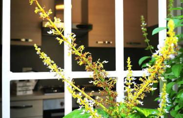 Il Cortile - Foto 13