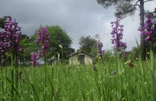 maisonnette écologique isolée en botte de paille - Foto 8