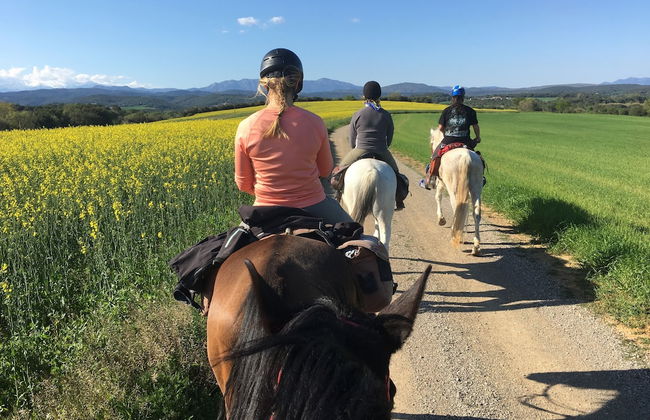 Can Muní - Pins - Foto 138