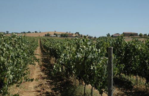 Agriturismo Pian dei Pini - Foto 6