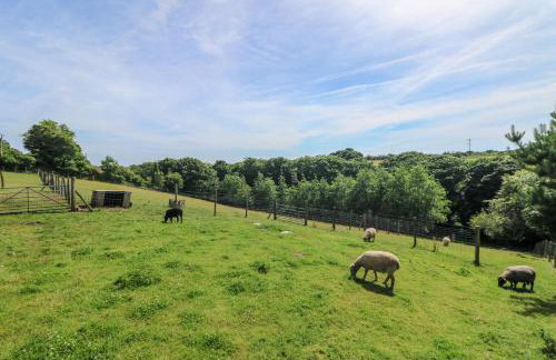 The Reading Room - Foto 29