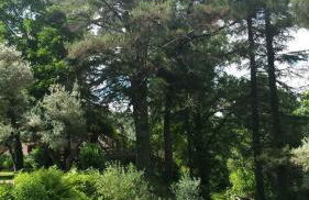 Rancho La Herradura - Photo 17