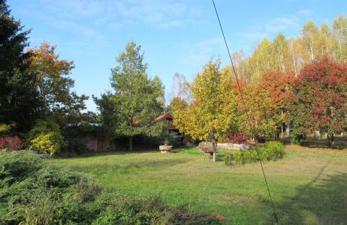 domki na leśnej polanie - Foto 41