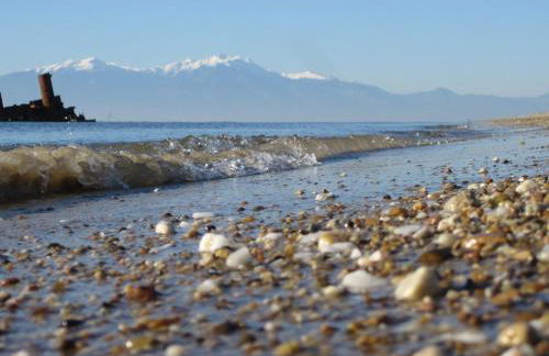 Infinite blue Horizon Elegance Hospitality - Photo 39