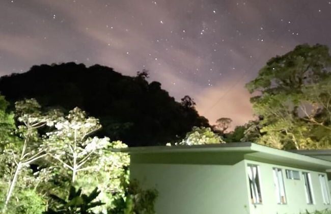 Selvática del Toro - Foto 48