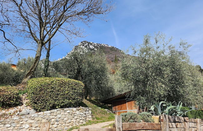 Agriturismo Scuderia Castello - Foto 37