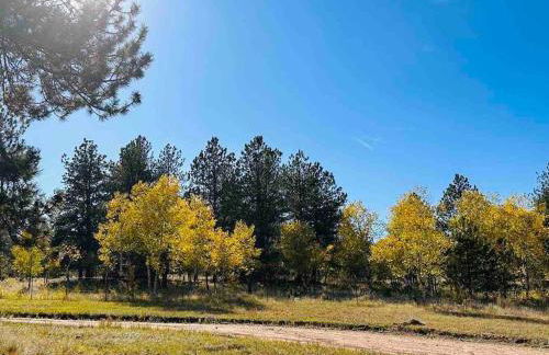 New! Adorable Cabin in Colorado National Forest - Foto 21