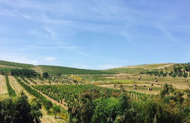 Cascina al colle - Photo 72