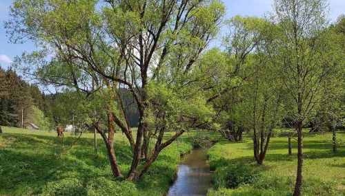 Ferienwohnung "Haus Sonnenblick" - Foto 4