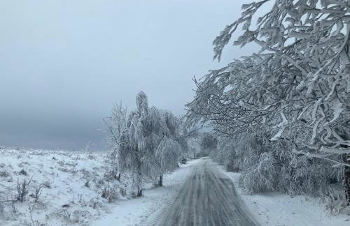 Dom Gościnny Zarembianka - Foto 69
