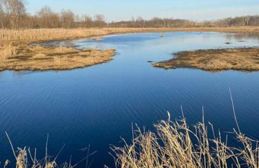 Luxury 1BR/1BA w/ Top Amenities in Prime Location - Foto 21