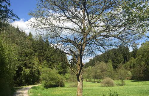 Holiday Apartment - Foto 28