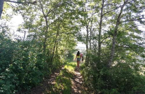 House in Seggio, peace in the green heart of Umbria - Foto 11