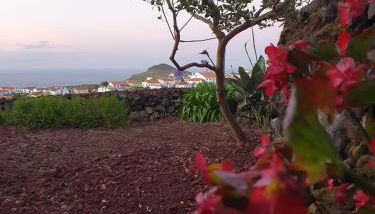 Charming Country House by Ponta Negra Azores - Photo 5