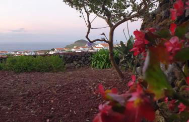 Charming Country House by Ponta Negra Azores - Photo 5