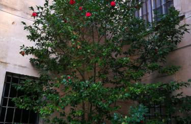 Windrose Casabianca - Foto 35