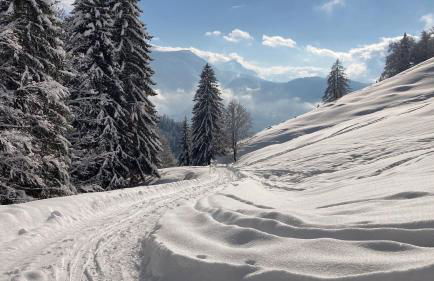 Haus Gneuss - Foto 20