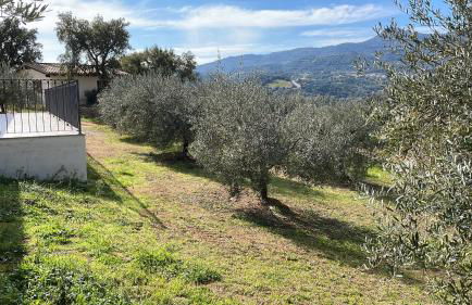 AGRITURISMO VIGNA DE' LUCERI - Foto 4