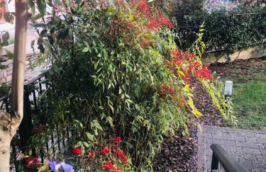 I Quattro Ulivi - Iseo Lake - Foto 19