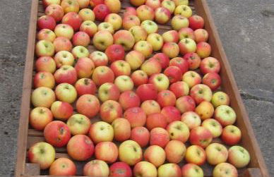 Ferienwohnung Walkershofen - Foto 8