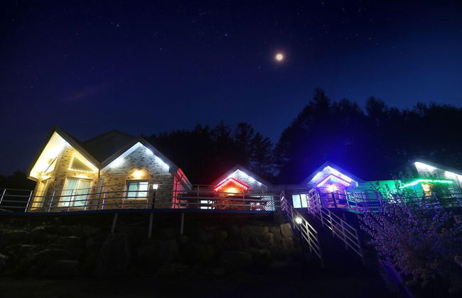 Star Jari Pension - Photo 37