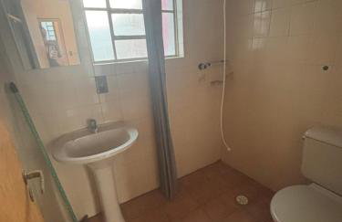 Apes Raizes Douradas - Foto 76