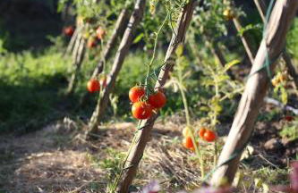 La Bergerie des Ocres, authentic & friendly villa - Foto 29