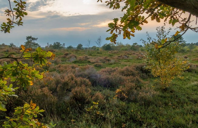 Holiday Home North Sea Sand - Foto 12