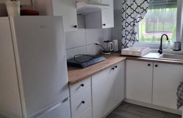 Domki Boszkowo-Dominice Bliźniak 2 apartamenty - Foto 42