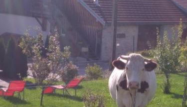 Gite 2-3 personnes Arçon proche Pontarlier - Foto 5