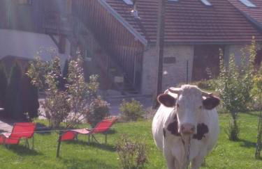 Gite 2-3 personnes Arçon proche Pontarlier - Foto 5