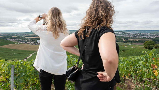 Photographiez les vignobles