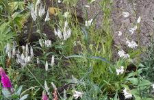 Ostoja Kamionki - Foto 30