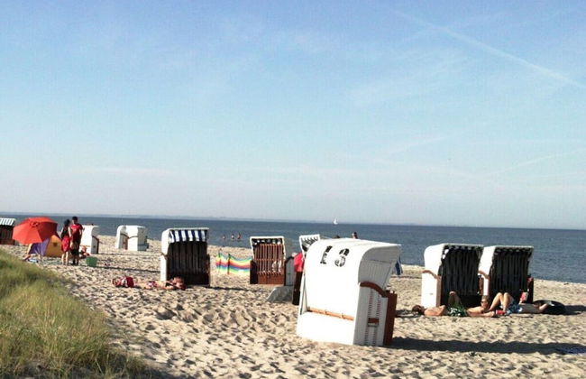 Diekkier Modern Retreat - Foto 31