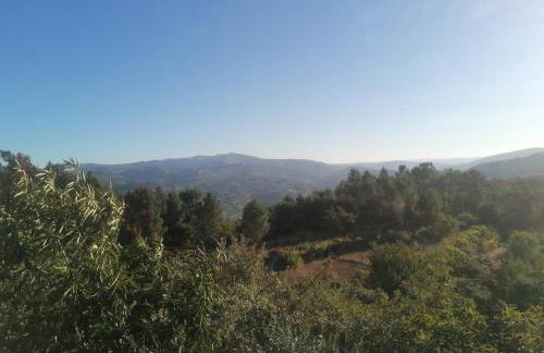 Quinta da Mal-disposta, cabin lodge Countryhouse - Foto 48