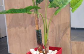 ESCAL'HOME , appart design au pied de l'aéroport,parkings - Foto 24