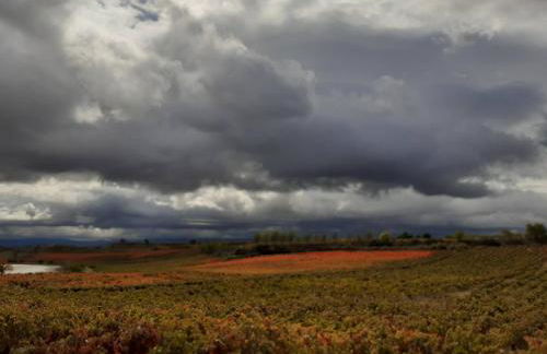Casa Rural Erletxe - Photo 27