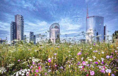 The Wine Cave - Via M Gioia, 47 - Huge Elegant 110 sqm Peaceful Retreat in Milan, 2 bedrooms, 8 minutes walking from Central Station, Milan - Foto 38