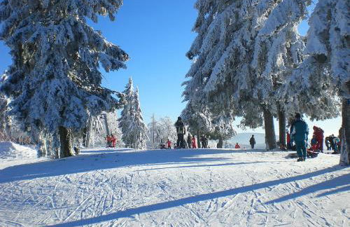 "Das Jagdhaus"- Chalet am Skigebiet mit Sauna - Foto 24