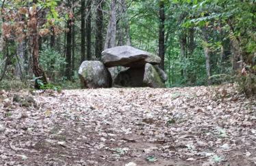 Gite du Dolmen classé 3 épis - Photo 38